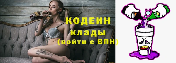 крисы Аркадак
