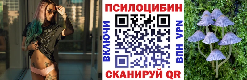 Галлюциногенные грибы Psilocybine cubensis  Хотьково 